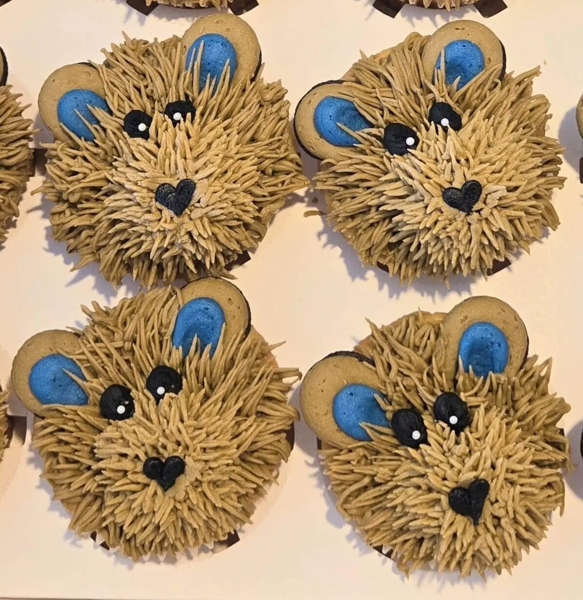 Cupcakes in Longmont - Teddy bear cupcakes with blue ears in a box.