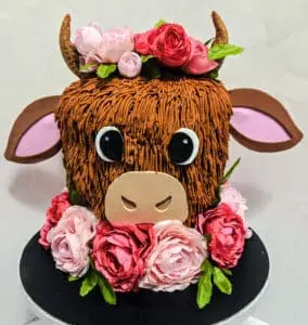 Custom Adult Birthday Cakes in Firestone - Highlander Cow Cake