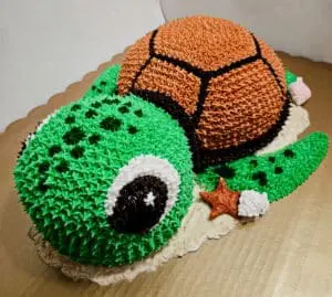 Sea Turtle Cake - Custom Kids Birthday Cakes in Longmont