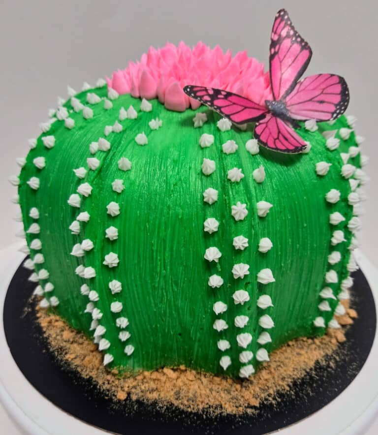 Custom Cakes in Northern Colorado | Cactus Cake with Butterfly - custom cake pricing in Longmont