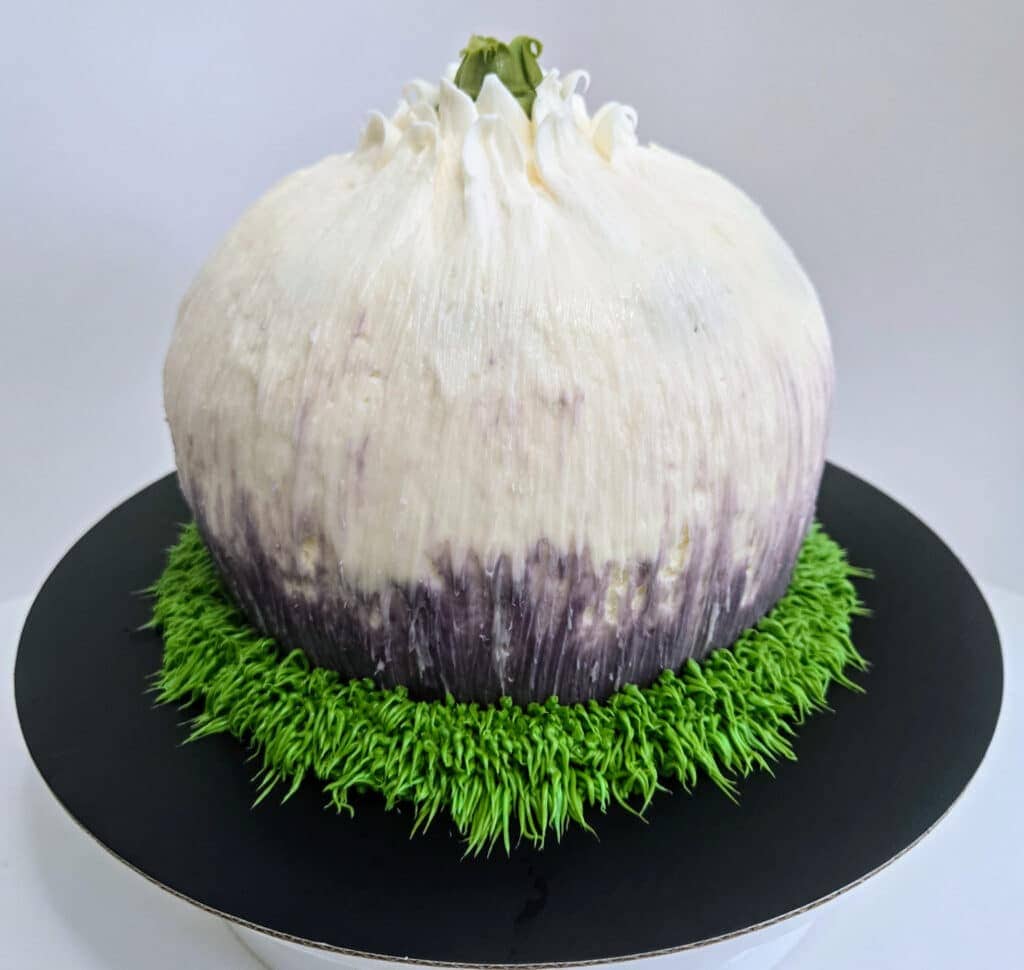 onion-birthday-cake-custom-cakes-in-colorado